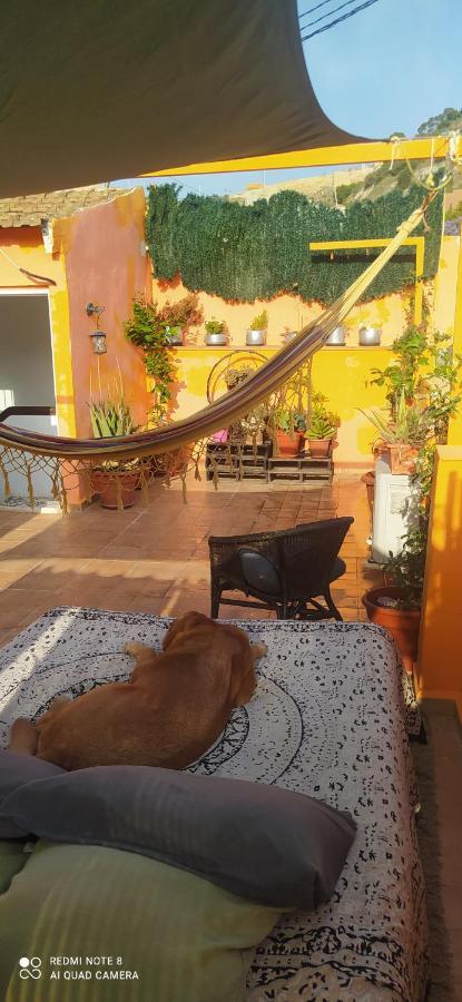La Casita De Celia Apartment Аликанте Екстериор снимка